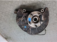 28313AG010, 28373AG000 Ступица (кулак, цапфа) Subaru Legacy Outback (B13) 2003-2009 20513919 #9