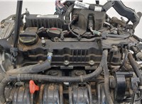 211012GK19 Двигатель (ДВС) Hyundai Santa Fe 2015-2018 20515036 #5