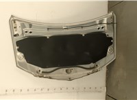  Форсунка омывателя стекла Chrysler Voyager 2007-2010 11452996 #8