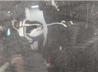  Капот Mitsubishi Outlander XL 2006-2012 20515265 #2