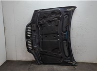 41617121102, 7121102 Капот BMW X5 E53 2000-2006 20515305 #6