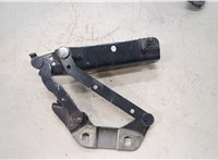  Петля капота Land Rover Range Rover Evoque 2011-2018 20516095 #1