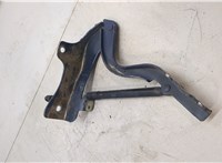 791104Z000 Петля капота Hyundai Santa Fe 2015-2018 20516200 #1