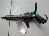 9674973080 Форсунка топливная Ford Focus 3 2011-2015 20516622 #10
