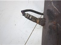 19209808 Лямбда зонд Hummer H2 11453934 #2