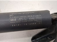 905605NA0A Амортизатор крышки багажника Infiniti QX50 2017-2025 20516803 #2