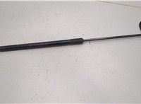 904515DA0A Амортизатор крышки багажника Infiniti QX30 2016-2019 20516808 #1