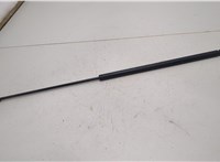  Амортизатор капота Audi A6 (C6) 2004-2011 20516848 #1