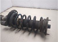 LR005573, RKB500210 Амортизатор подвески Land Rover Freelander 2 2006-2014 20517485 #5