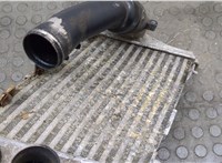  Радиатор интеркулера Audi A8 (D3) 2002-2010 20517561 #4