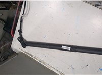 51247388783, 388783 Амортизатор крышки багажника BMW X3 F25 2010-2017 20518032 #1