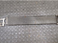  Радиатор масляный Ford Focus 1 1998-2004 20518636 #2