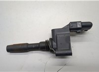 05E905110, 04C905110N Катушка зажигания Skoda Karoq 2016-2025 20518715 #1