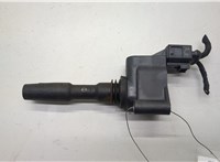 05E905110, 04C905110N Катушка зажигания Skoda Karoq 2016-2025 20518719 #1