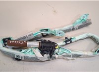  Подушка безопасности боковая (шторка) Volkswagen Passat 6 2005-2010 20518969 #1