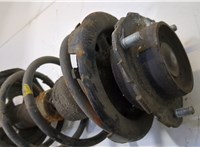 4852009231, 4813105670 Амортизатор подвески Toyota Avensis 1 1997-2003 20520005 #2
