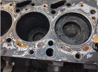  Блок цилиндров (Шорт блок) Ford Transit 2006-2014 20520718 #11