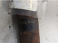 1219725 Форсунка топливная Ford Transit (Tourneo) Connect 2002-2013 20520730 #2