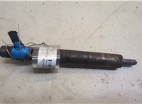 1219725 Форсунка топливная Ford Transit (Tourneo) Connect 2002-2013 20520732 #1