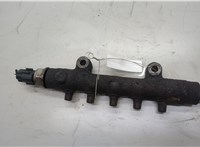  Рампа (рейка) топливная Ford Transit 2006-2014 20520754 #2