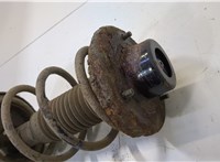 4180259JB0, 4131159JB0 Амортизатор подвески Suzuki Liana 2001-2008 20521361 #2