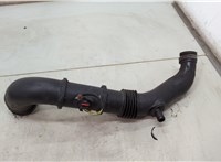  Измеритель потока воздуха (расходомер) Citroen Jumper (Relay) 2006-2014 20522056 #1