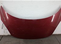  Форсунка омывателя стекла Renault Scenic 2009-2012 11456749 #1