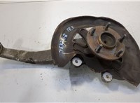 4320130010, 4355030010 Ступица (кулак, цапфа) Lexus GS 2005-2012 20522354 #1
