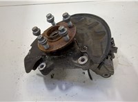 8V0498625A, 5Q0407254A Ступица (кулак, цапфа) Volkswagen Golf 7 2012-2020 20522932 #1