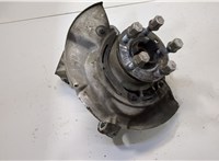LR060751, LR060196 Ступица (кулак, цапфа) Land Rover Discovery Sport 2014-2022 20523310 #1