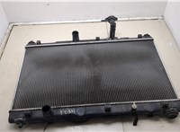  Радиатор охлаждения двигателя Suzuki Vitara 2014- 20523813 #1