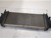  Радиатор интеркулера Mercedes ML W164 2005-2011 20523876 #1