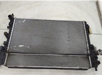  Радиатор охлаждения двигателя Skoda Rapid 20523903 #1