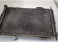  Радиатор охлаждения двигателя Ford Mondeo 3 2000-2007 20523908 #1