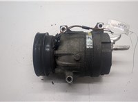 Компрессор кондиционера Renault Scenic 1996-2002 20524033 #1