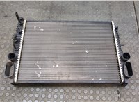  Радиатор охлаждения двигателя Mercedes E W211 2002-2009 20524654 #1