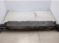 144615NA0A Радиатор интеркулера Infiniti QX50 2017-2025 20524731 #1