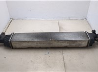 144615NA0A Радиатор интеркулера Infiniti QX50 2017-2025 20524731 #2