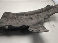  Защита арок (подкрылок) Renault Scenic 2009-2012 20525508 #2