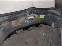 41617111385, 7111385 Капот BMW 5 E60 2003-2010 20525717 #9