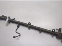 A6130700095 Рампа (рейка) топливная Mercedes S W220 1998-2006 20525880 #1