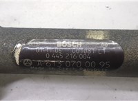 A6130700095 Рампа (рейка) топливная Mercedes S W220 1998-2006 20525880 #4