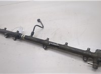 A6130700095 Рампа (рейка) топливная Mercedes S W220 1998-2006 20525880 #5