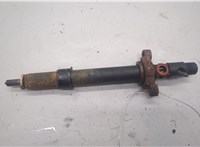 1980S3, EJBR06001D Форсунка топливная Citroen C5 2008-2017 20526039 #1