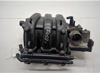  Коллектор впускной Volkswagen Polo 2005-2009 20526883 #1