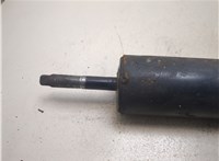 1407073 Амортизатор подвески DAF LF 2001-2013 20526901 #2