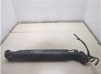  Цилиндр подъема кабины Renault T 2013- 20528220 #1