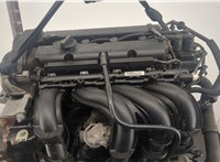 1470514, 4M513A696AE Насос гидроусилителя руля (ГУР) Ford Focus 2 2008-2011 11461402 #7