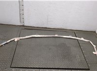 95580306902 Подушка безопасности боковая (шторка) Porsche Cayenne 2002-2010 20530084 #1