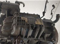  Двигатель (ДВС) Ford Focus 2 2008-2011 20530901 #6